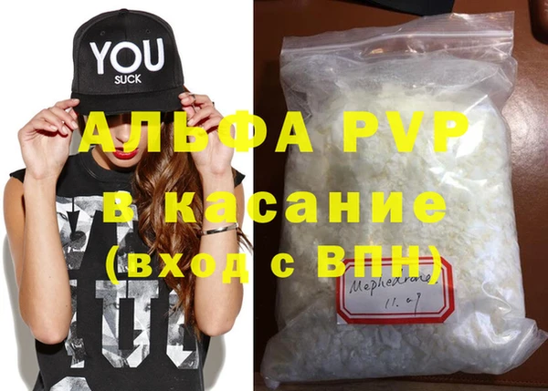 дурь Инсар