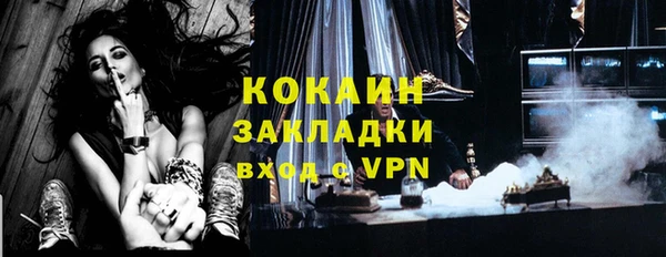 дурь Инсар