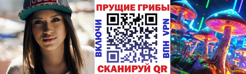 Псилоцибиновые грибы мухоморы  даркнет наркотические препараты  Северск 